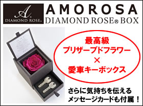 }:AMOROSA_Ch[YԃL[{bNX