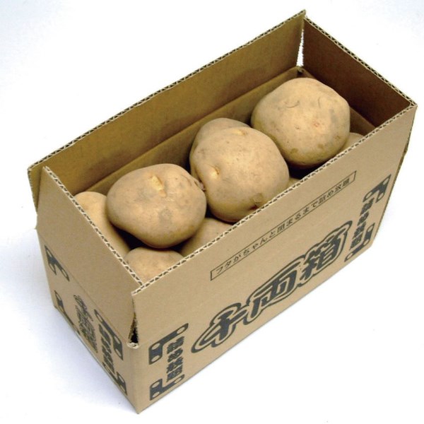 じゃがいも・20kg / じゃがいも詰め放題