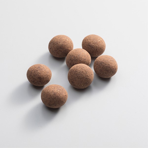 金沢箔菓子 金箔入 チョコボーロ