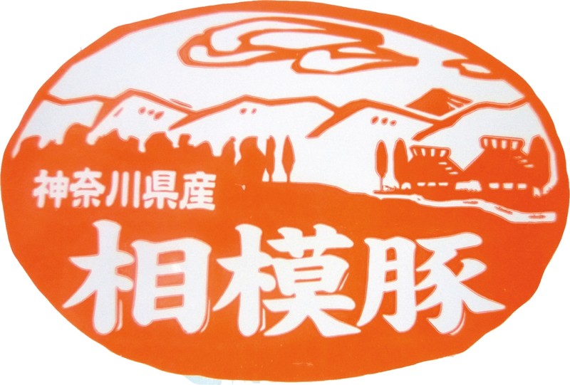 肉の石川 相模豚 とん漬※軽減税率対象商品