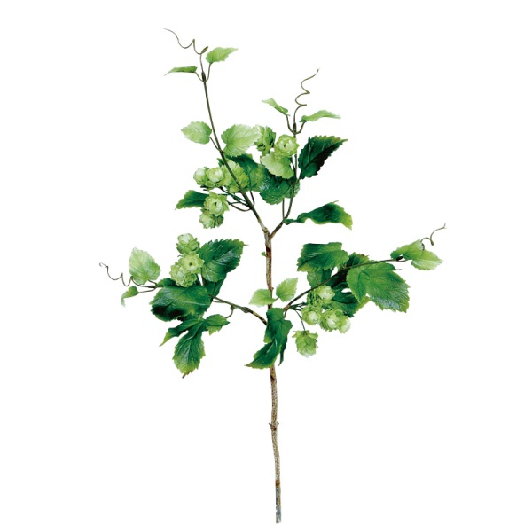 �X�v���C�z�b�v