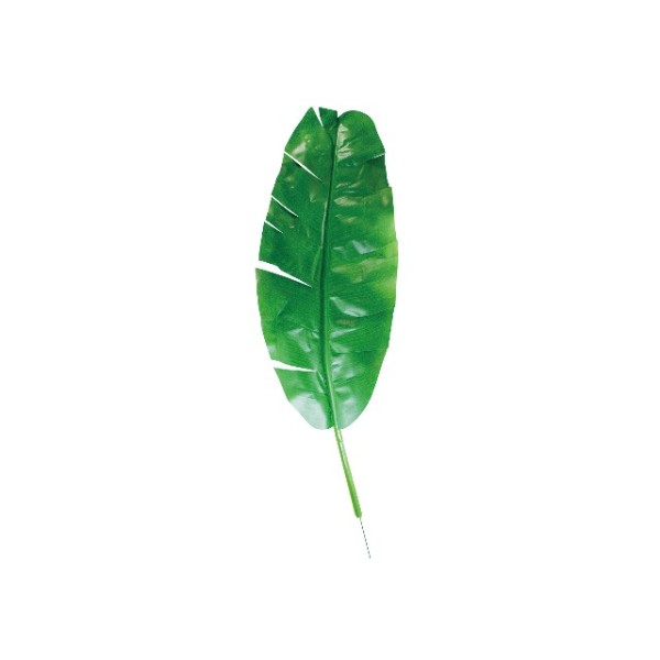 �R�T�C���`�o�i�i�X�v���C