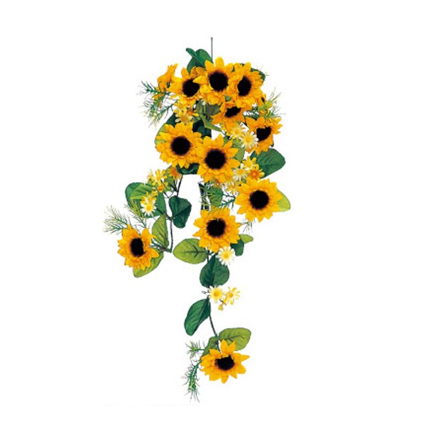 �T���t�����[�o�C��