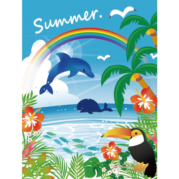 �o�b�N�X�N���[���V�[�g�@�T�}�[