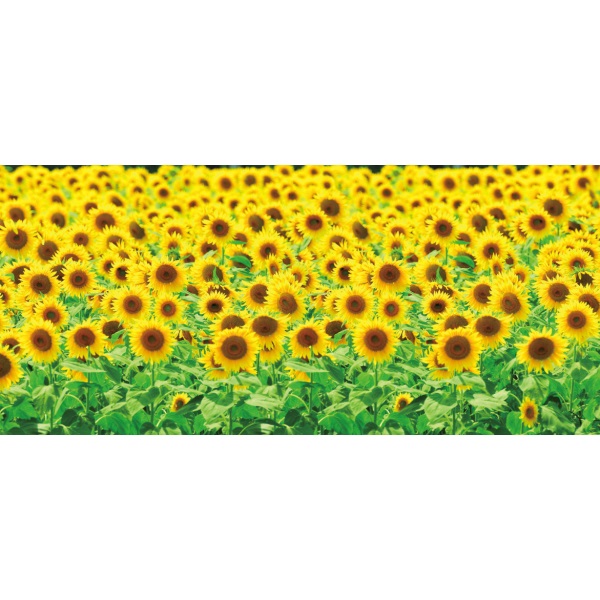 �f�B�X�v���C�V�[�g�@�Ђ܂�蔨