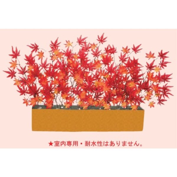 ���C�h�X�^���h�g�t