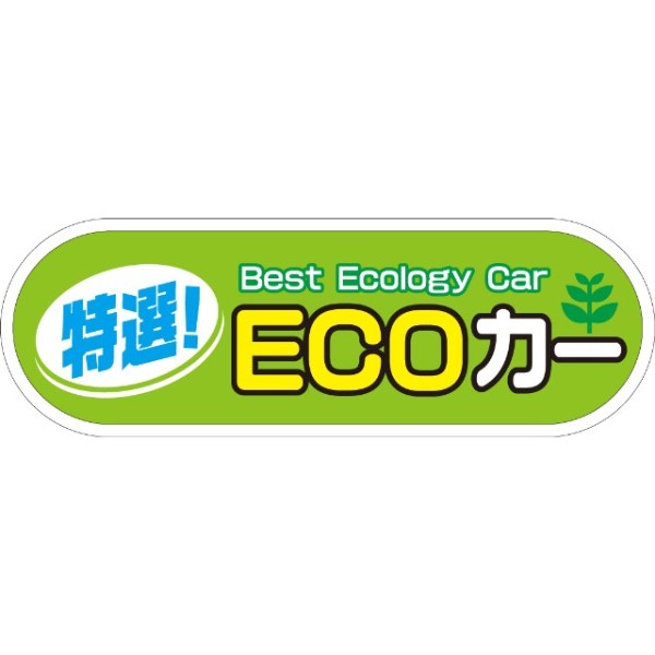 yԗpP[ACTCZbg ECO