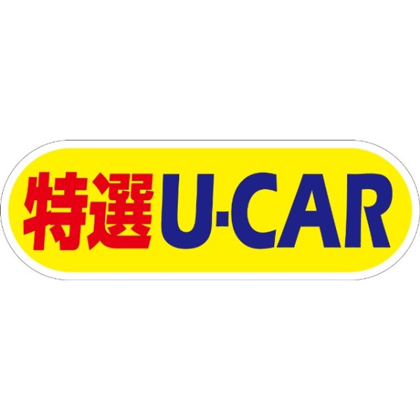 yԗpP[ACTCZbg IU-CAR
