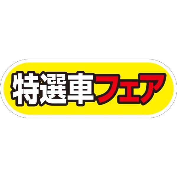 yԗpP[ACTCZbg I̪