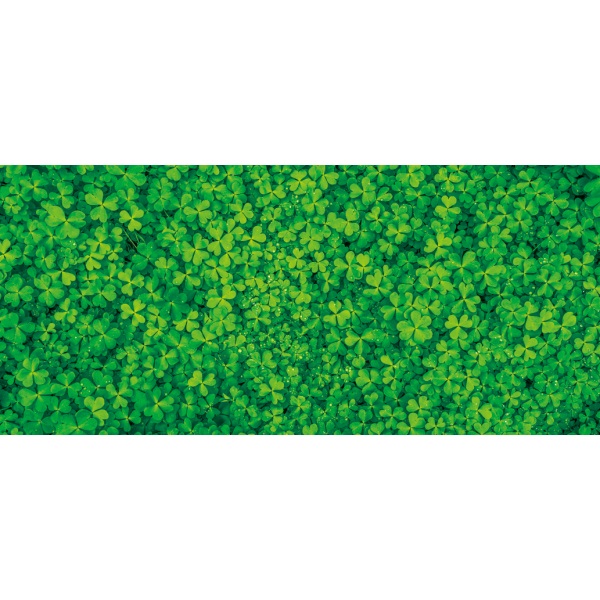 �f�B�X�v���C�V�[�g�N���[�o�[