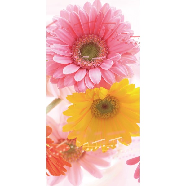 �^�y�X�g���[�i�h���j�K�[�x�������f�B