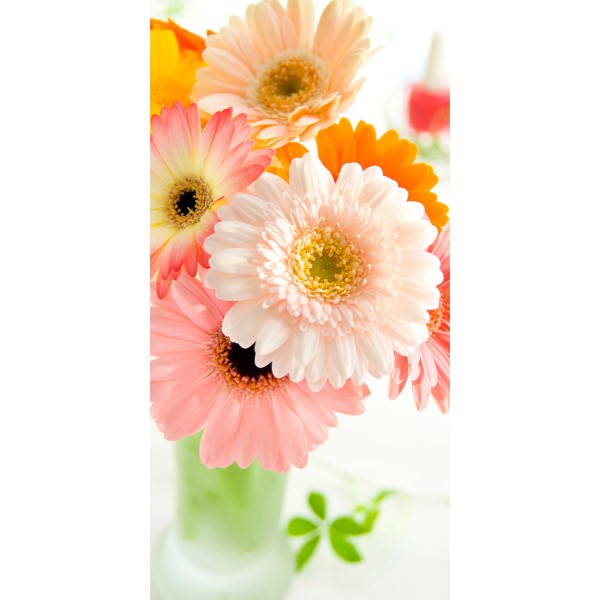 �^�y�X�g���[�i�h���j�K�[�x��