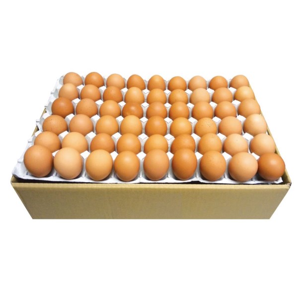 卵・10kg / 京の赤たまご詰め放題・約9名分(ポスティング用千両箱対応)