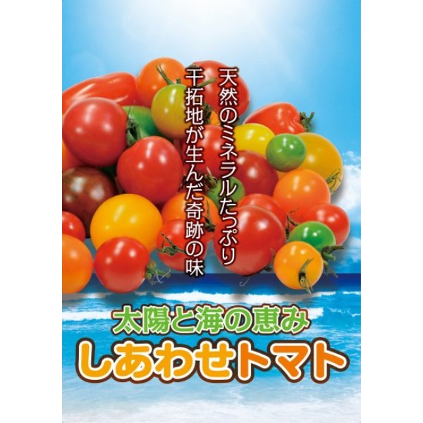 トマト3kg / しあわせトマト・約20名分(チャック付き袋(小)対応)
