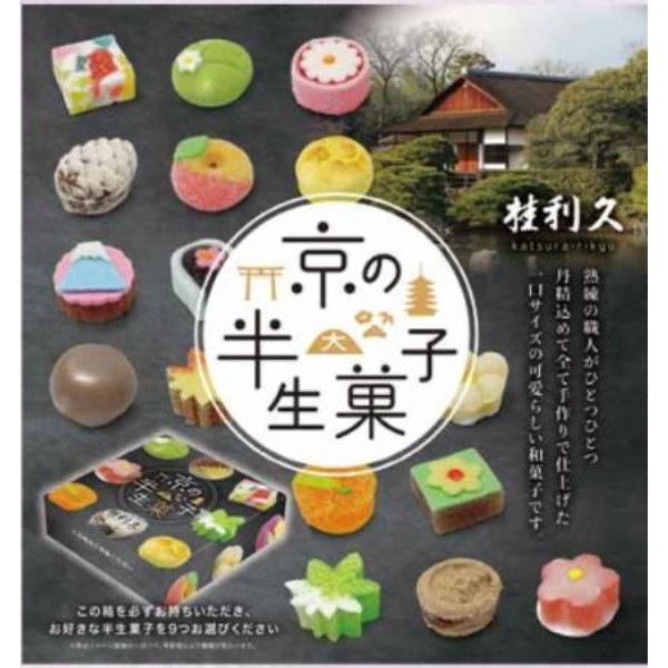 aَqE200 / jv َ̔qlߕE22iَ̔qBOXΉj