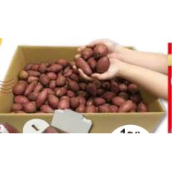 ミニミニ安納芋・10kg / 詰め放題