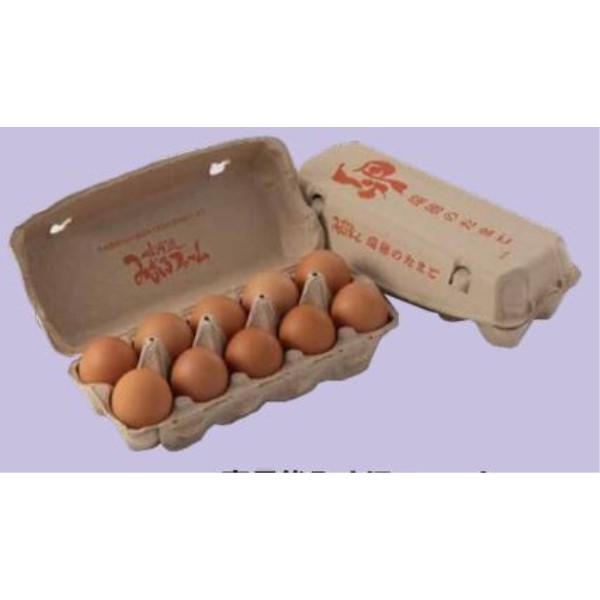 京丹後みずほファーム 瑞穂の赤たまご10個入り/10パック