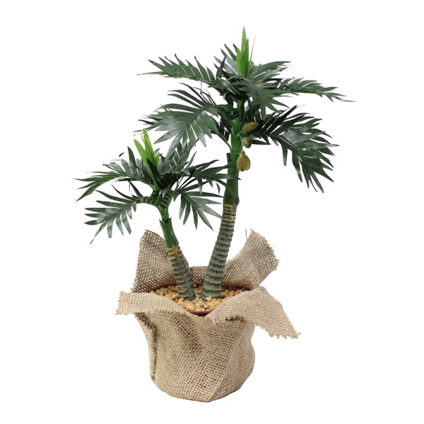 �~�j�|�b�g���V