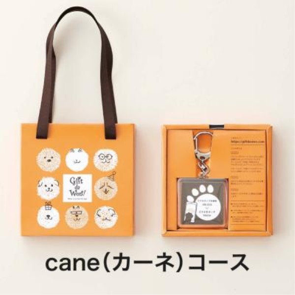 Gift da Won!【カーネ】