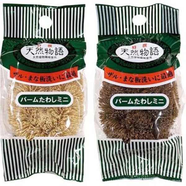 �V�R�p�[�����킵�~�j1��