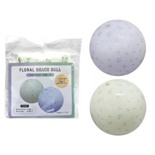 �t���[�����r�[�`�{�[��1��