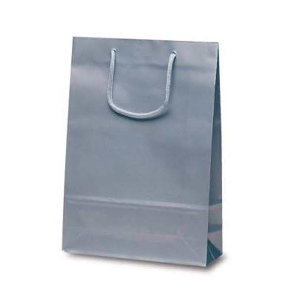 �i�C�X�o�b�O�i�V���o�[�j