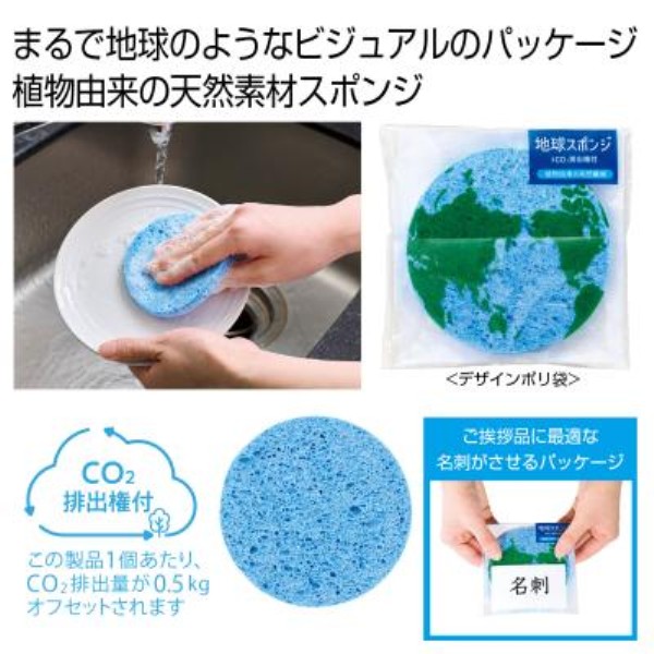 �n���X�|���W ��CO2�r�o���t