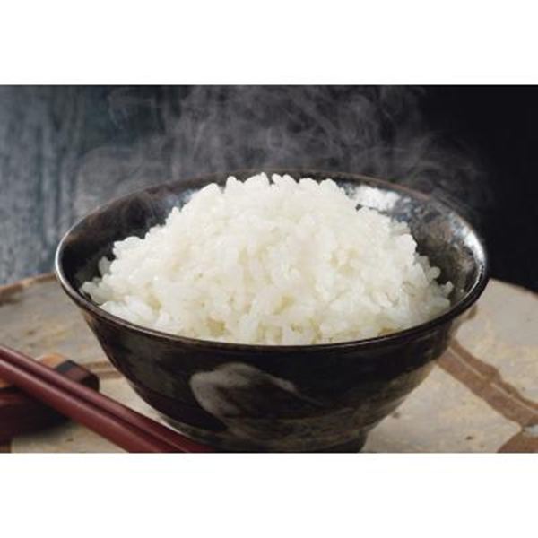 �V�����Y�R�V�q�J�����y���ŗ��Ώۏ��i