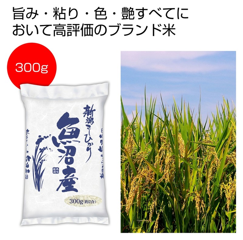 新潟魚沼産こしひかり300g※軽減税率対象商品