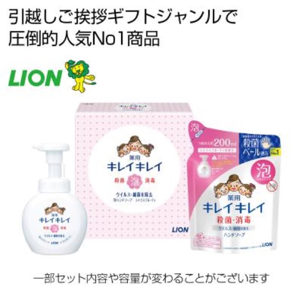 ※【LION10カートン】キレイキレイ泡ハンドソープ2点セット