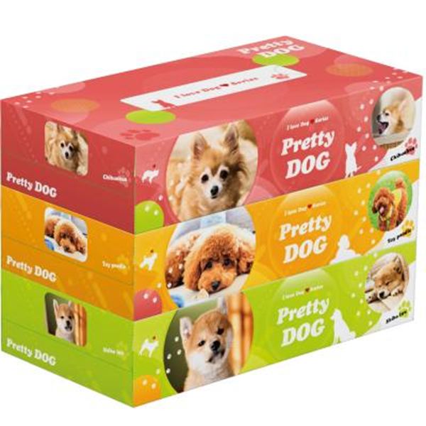 �v���e�B�h�b�OBOX�e�B�b�V��130W3�g