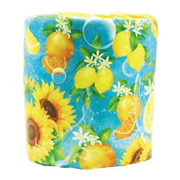 2026�r�^�~���T�}�[�v�����g�g�C���b�g���[���_�u���i27.5m�j