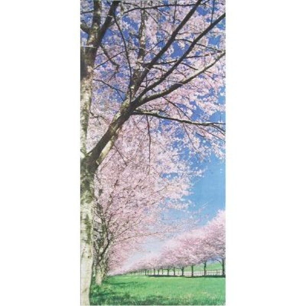 ������4�_�Z�b�g