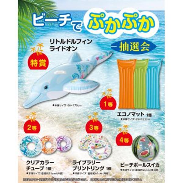 �r�[�`�łՂ��Ղ����I��30�l�p