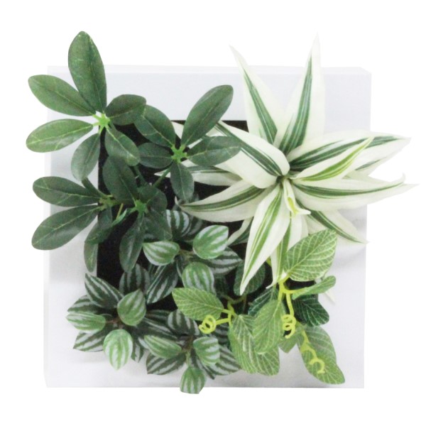 フレームグリーン B