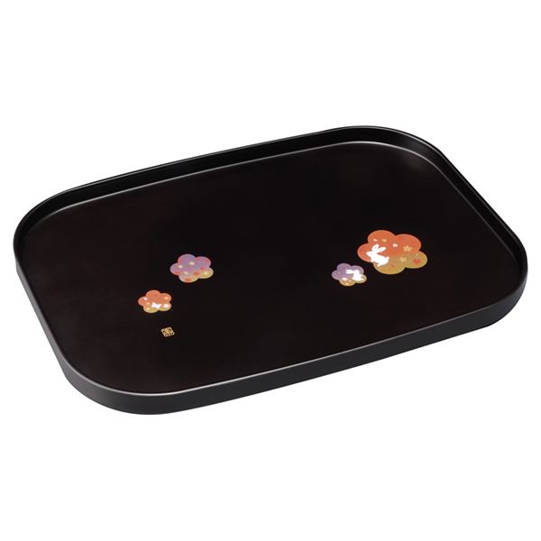 �I�B�h �ԕ������� 12.0����~