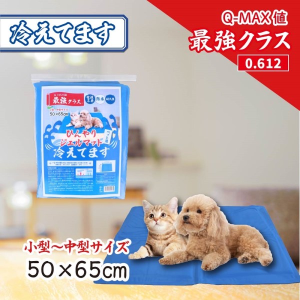 ЂWF}bg₦Ă܂ybgp 50×65cm