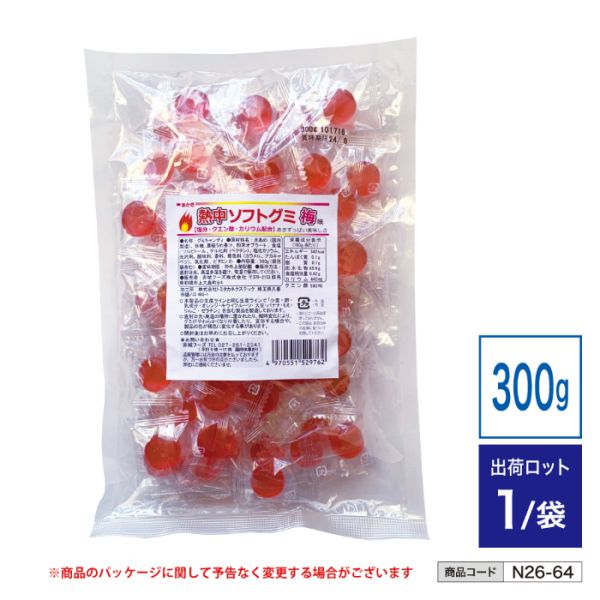 �i�y�Łj�M���\�t�g�O�~�~�� [10��]