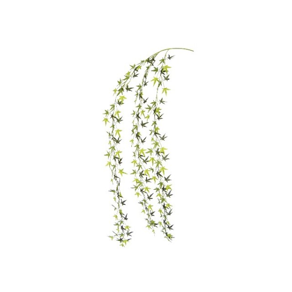 �O���[�����݂��o�C��