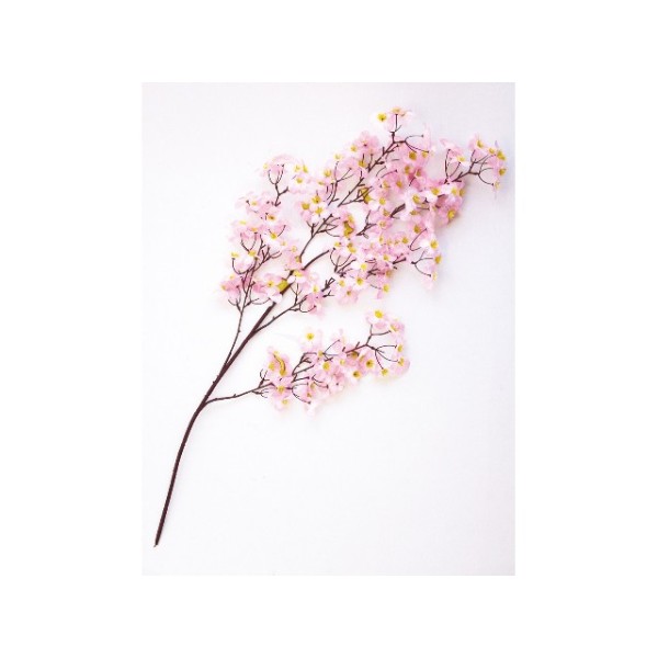 ��}�@�V���N��