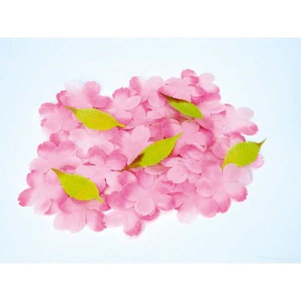 ���@�T�O������Z�b�g