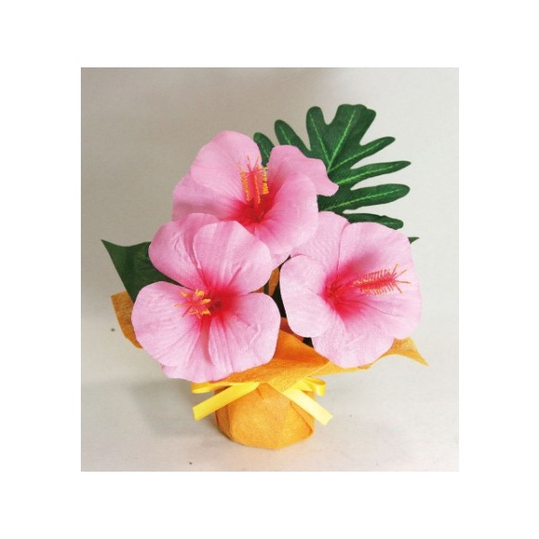 �~�j�~�j�|�b�g�n�C�r�X�J�X�@�s���N