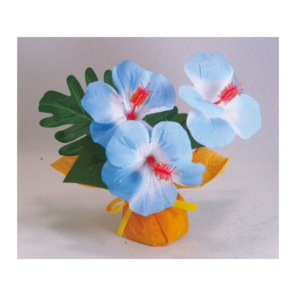 �~�j�~�j�|�b�g�n�C�r�X�J�X�@�u���[