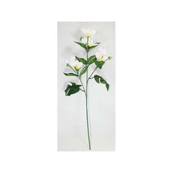 �v�������A�X�v���C�@�z���C�g