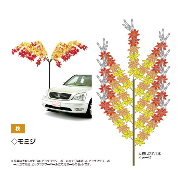 大枝しだれ モミジ 84-105