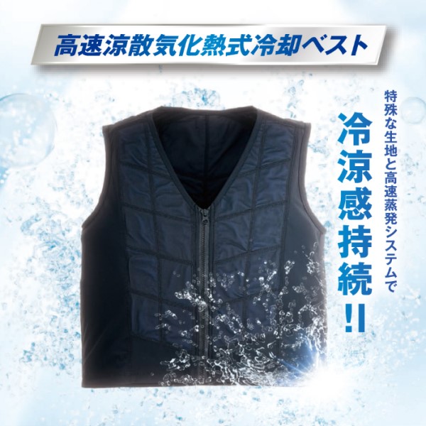 �C���M�x�X�g L