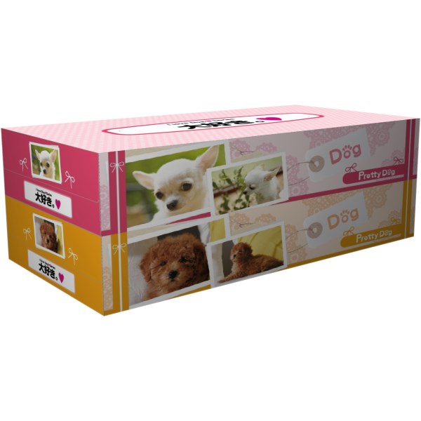 プリティドック BOXティッシュ130W 2個パック