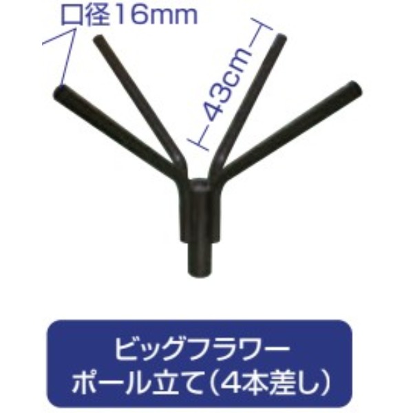 �r�b�N�t�����[�|�[�����@���̂݁i�S�{�����j