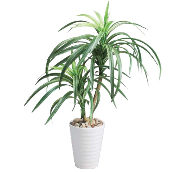 ユッカポット H43cm