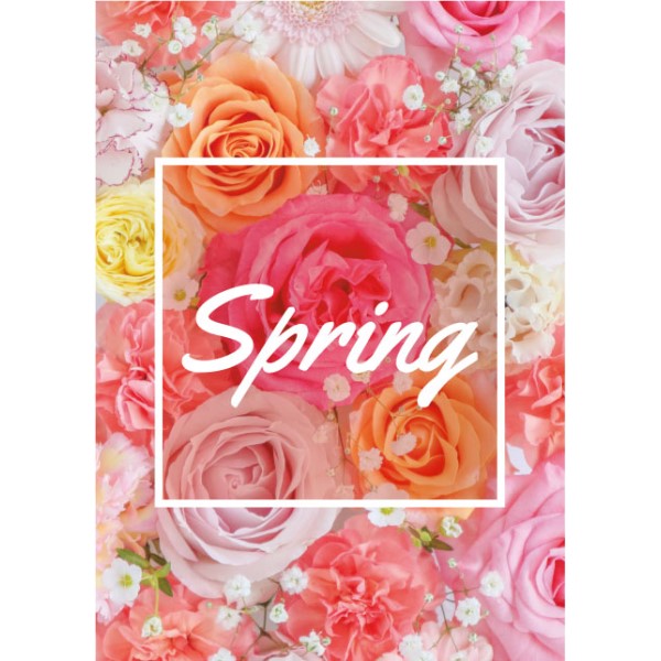 A1ポスター バラ